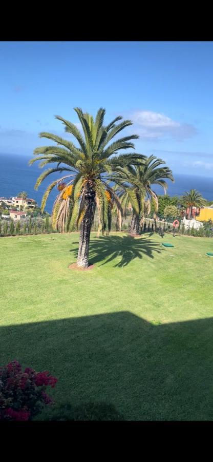 דירות סנטה אורסולה Vista Mar Azul Elegante Y Acogedor מראה חיצוני תמונה